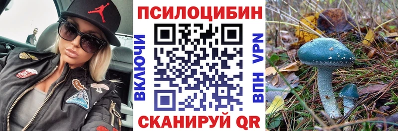 где продают наркотики  Канаш  ссылка на мегу маркетплейс  Галлюциногенные грибы Psilocybine cubensis 