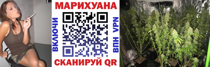 наркота Канаш Марихуана конопля